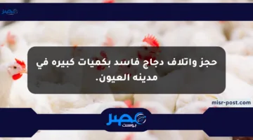 حجز وإتلاف دجاج فاسد بكميات كبيرة في مدينة العيون.